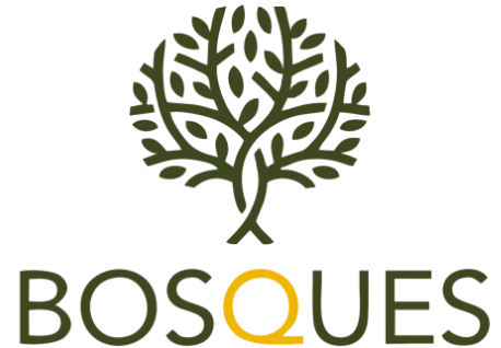 Fraccionamiento Bosques